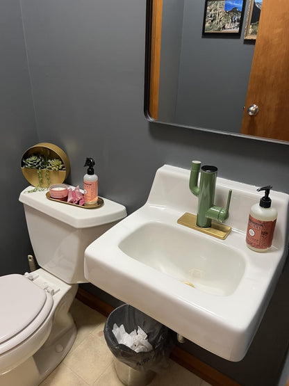 Guator The Cactus Smart Spa Faucet (360° Rotation & Filtration)