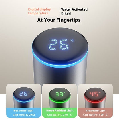 Guator The Cactus Smart Spa Faucet (360° Rotation & Filtration)